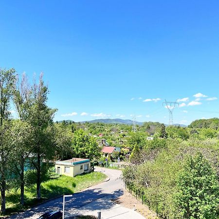 ואלבריץ' Apartament Zielone Podwale מראה חיצוני תמונה
